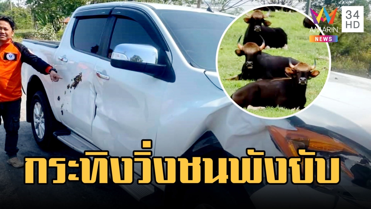 กระทิงดุ! วิ่งชนกระบะพังยับ แถมอึใส่