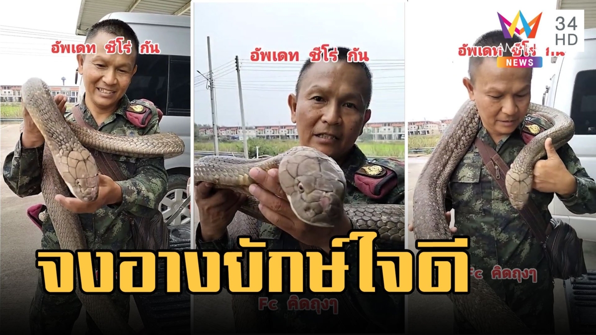 'ซีโร่' จงอางสายโหด เปลี่ยนสู่โหมดเชื่องๆ