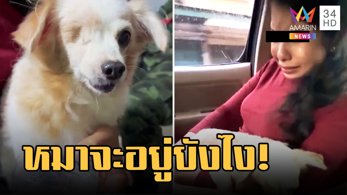 สาวค้ายาถูกจับกอดหมาร้องไห้หนัก ติดคุกไม่มีคนเลี้ยงหมาจรตาบอด