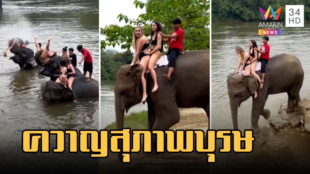 นทท.สาวรัสเซียนั่งช้างกลัวตก บอกควาญจับเอวแต่สุภาพบุรษจับแค่ไหล่