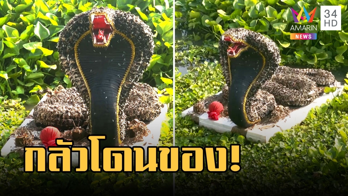 ผวาอาถรรพ์! พญางูจงอางลอยติดแม่น้ำเจ้าพระยา เจอผ้าแดงกลัวโดนของ