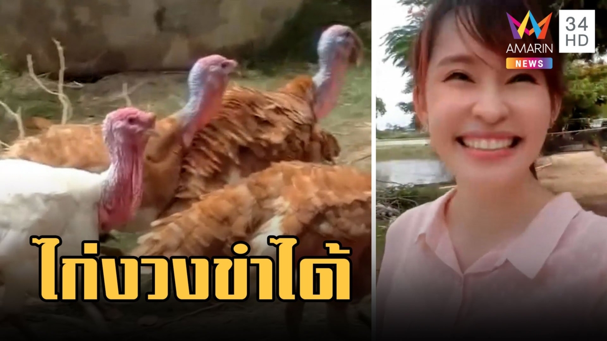 สาวรีวิวไก่งวงขำ ชาวเน็ตแซวอยากพาร่วมงานบวช