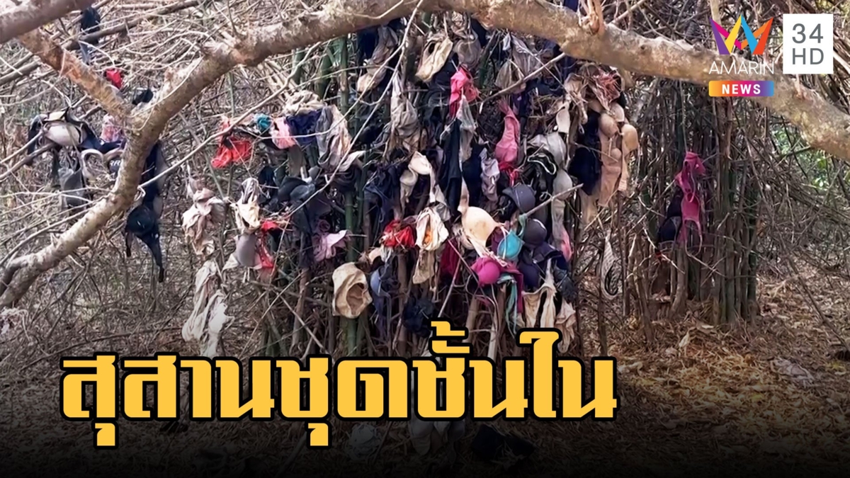 ตะลึงสุสานชุดชั้นใน แขวนรอบกอไผ่เป็นร้อย