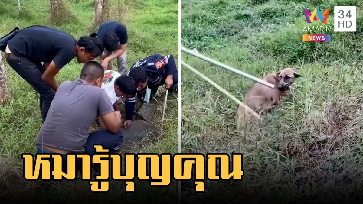 ช่วยชีวิตหมาตกบ่อน้ำร้างลึก 3 เมตร ก่อนกลับวิ่งมาขอบคุณกู้ภัย