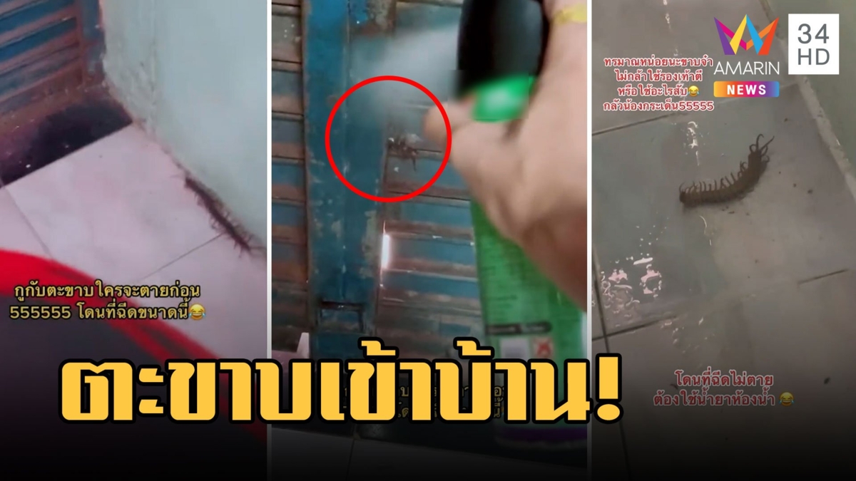 แม่ค้าออนไลน์กรี๊ดลั่นตะขาบบุกบ้าน เจอฤทธิ์สิ่งนี้ตายสนิท