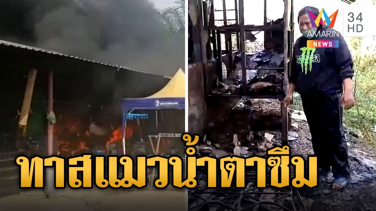 บีบหัวใจทาสแมว ไฟไหม้เป็นตอตะโก เจ้าของร้องไห้น้ำตาพราก