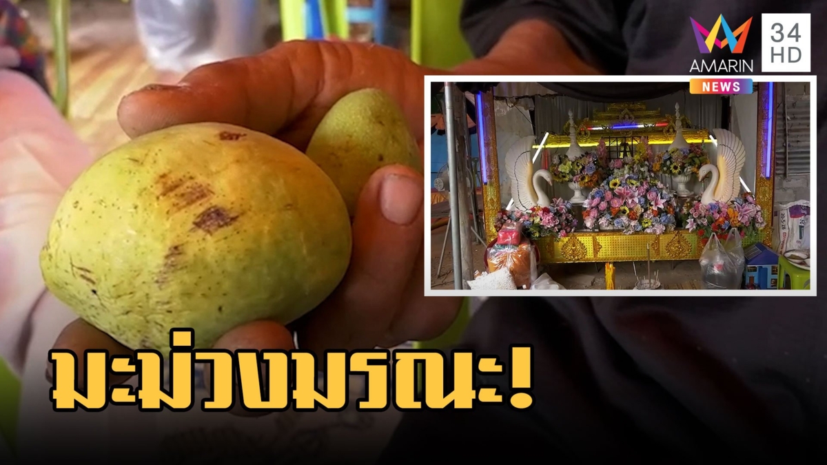 ยายกินมะม่วงคลายร้อน มะม่วงสุกติดหลอดลมดับ