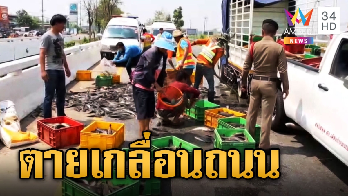 หกล้อยางแตกพลิกคว่ำปลาดุก 3 ตัน ร่วงดิ้นตายเกลื่อนถนน
