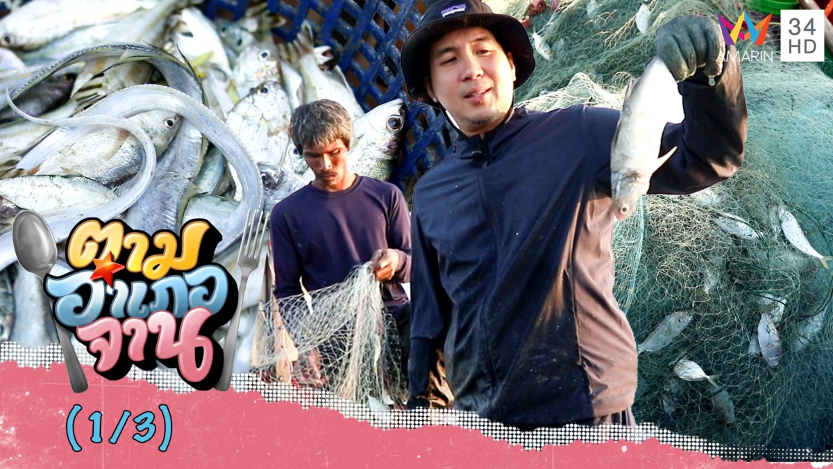 ออกเรือกับพรานทะเล วางอวนจับปลาสดๆ