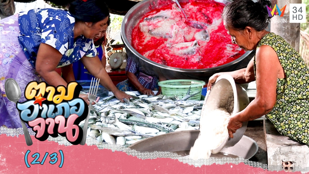 วิธีหมัก 'ปลาแป้งแดง' ทีเด็ดอาหารปักษ์ใต้