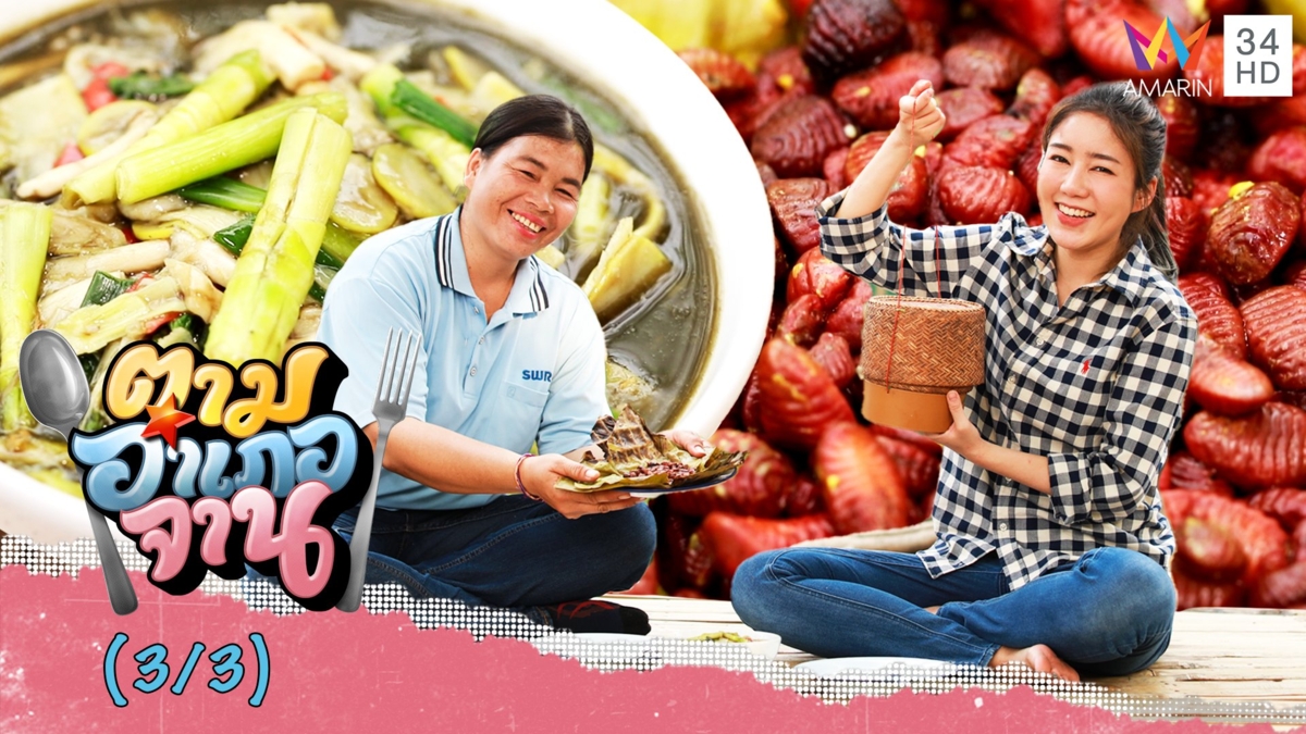 เคี้ยวมันอร่อยถูกใจ หมกไข่จักจั่น-แกงผักคอนแคน