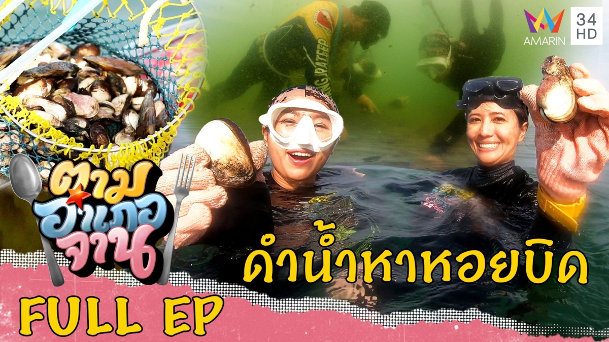 ดำน้ำหาหอยบิดด้วยมือเปล่า อ.ศรีราชา จ.ชลบุรี