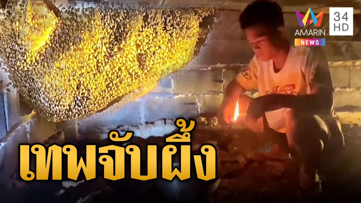 จอมขมังเวทย์ หิ้วหม้อ-ควงมีด จับผึ้งมือเปล่า