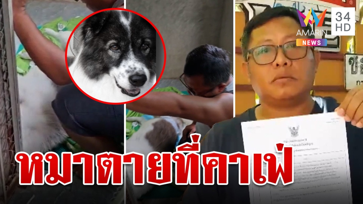 เจ้าของใจสลาย สุนัขตายหลังไปฝากเลี้ยงในคาเฟ่ดัง