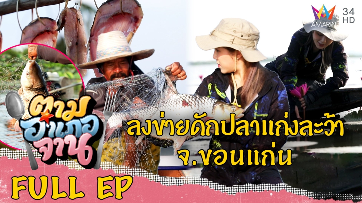 ลงข่ายดักปลาแก่งละว้า อ.บ้านไผ่ จ.ขอนแก่น