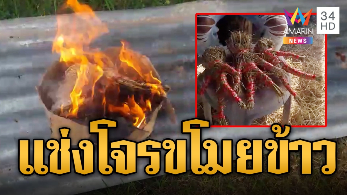 ยายสุดทน! นิมนต์พระเผาหุ่นฟางบังสุกุลให้โจร สาปแช่งโจรขโมยข้าว
