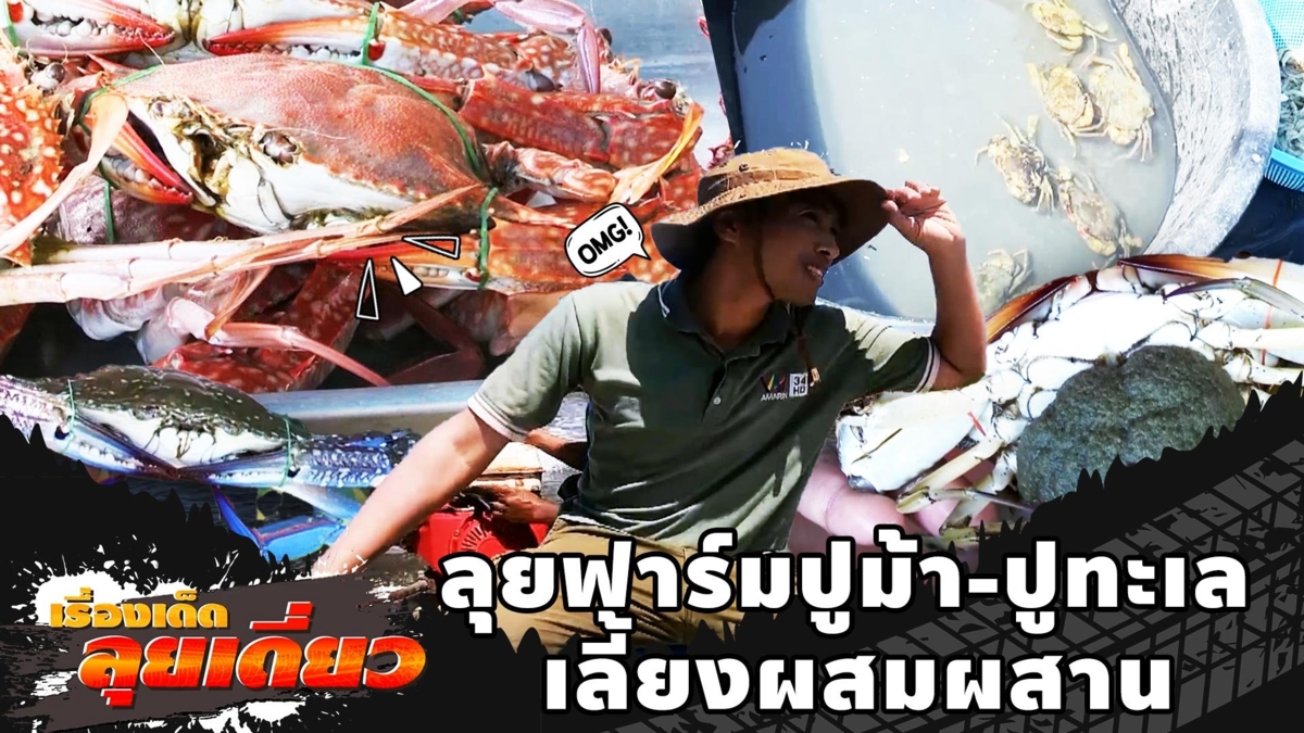 เรื่องเด็ดลุยเดี่ยว | ลุยฟาร์มปูม้า-ปูทะเล เลี้ยงผสมผสาน จ.สมุทรสาคร