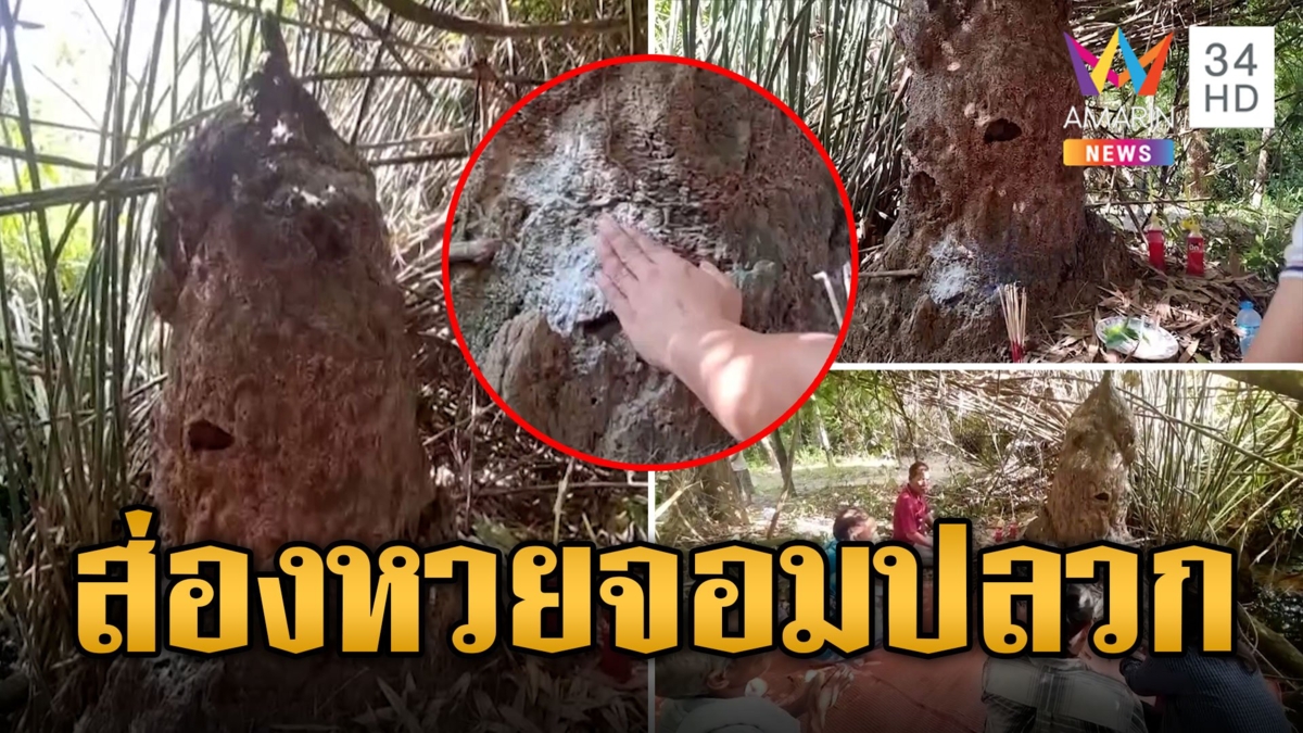 หวยจอมปลวกหน้าเหมือนปีศาจให้ 3 ตัวตรงๆ เคยได้ไปหลายแสน