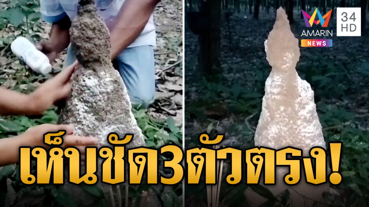 จอมปลวกให้โชค ขึ้นจากดินคล้านพระพุทธรูป อึ้งเหมือนจริงโรยแป้งขอหวย