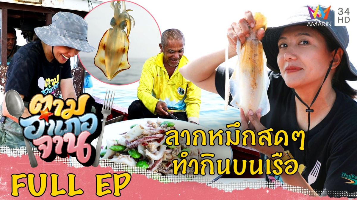 จับหมึกสดๆทำกับข้าวกลางทะเล อ.คุระบุรี จ.พังงา