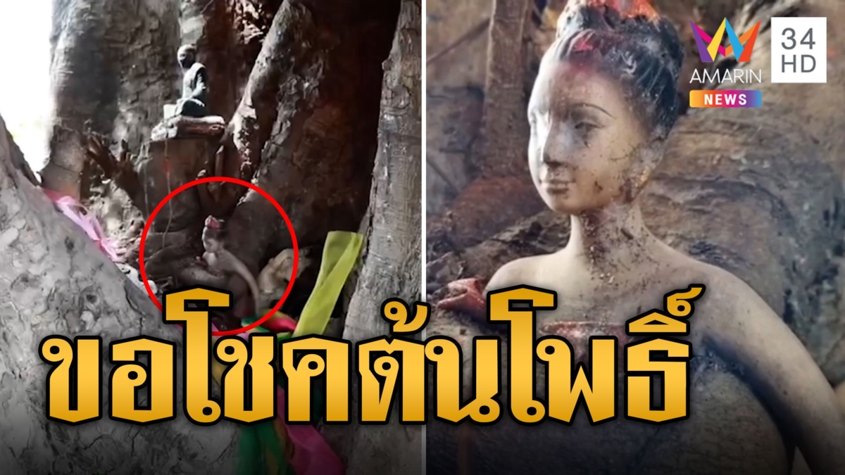 แห่ขอโชคต้นโพธิ์ 100 ปี รัดรูปปั้นผู้หญิง คอหวยแห่ขอเลข