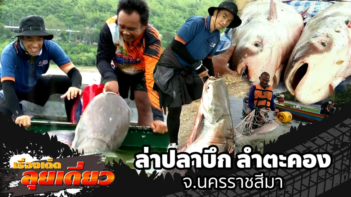 เรื่องเด็ดลุยเดี่ยว | เปิดฤดูล่าปลาบึก ลำตะคอง จ.นครราชสีมา