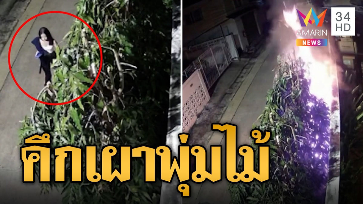 โจ๋มือบอนจุดไฟเผาพุ่มไม้ หวิดลามไหม้บ้าน ก่อนวิ่งเผ่นหนี