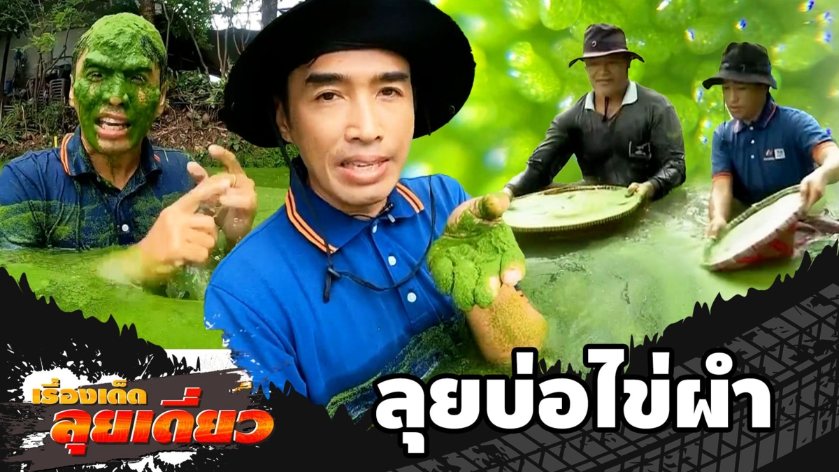 เรื่องเด็ดลุยเดี่ยว | ลุยบ่อไข่ผำ วัตถุดิบพื้นบ้านโปรตีนสูง จ.กาฬสินธุ์