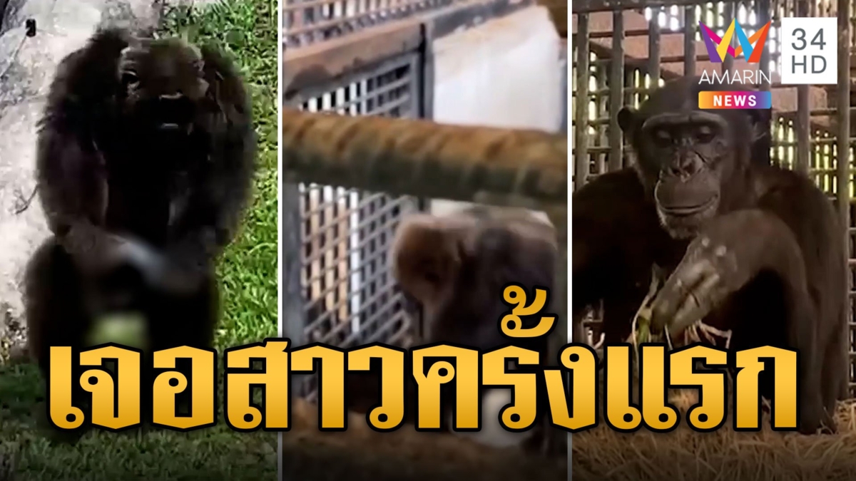 'เจ้าจ้อน' ดีดไม่หยุด! เจอว่าที่เจ้าสาวครั้งแรก