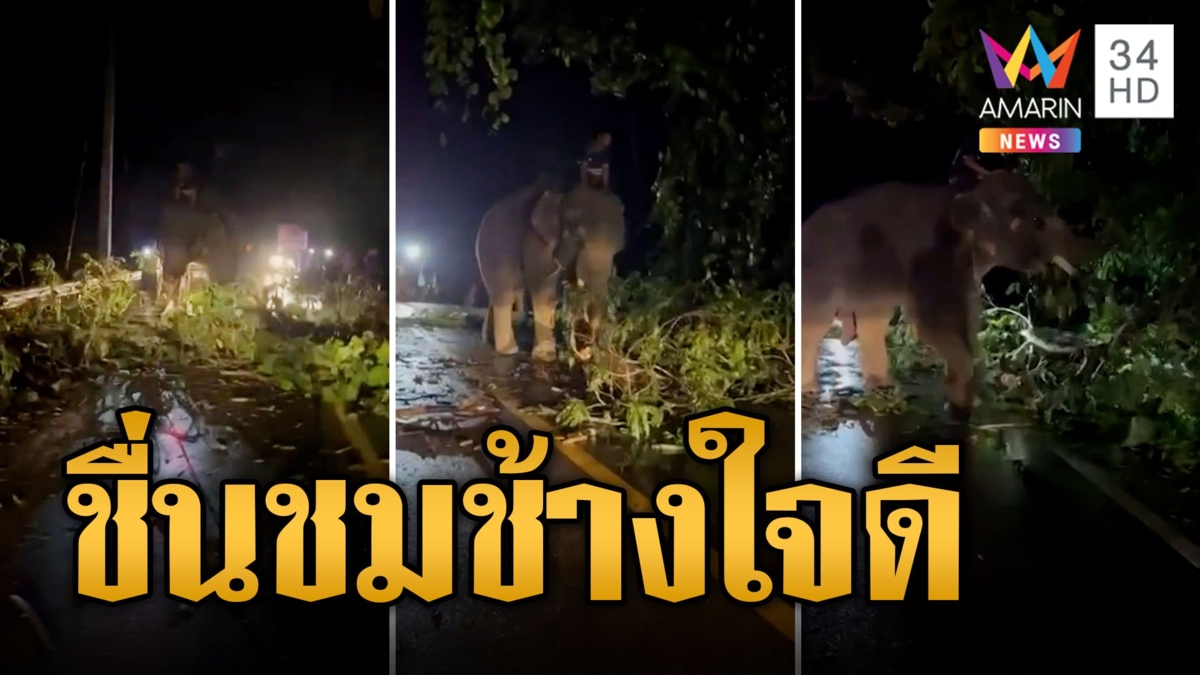แห่ชื่นชม! พลายแดนสยาม ใจดีช่วยเคลียร์กิ่งไม้ขวางถนน หลังพายุซัดปิดเส้นทางจราจร