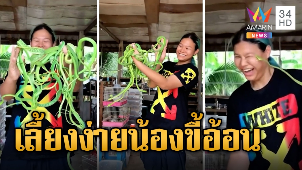 สาวรีวิวงูเขียวปราบจิ้งจก-แมลง เลี้ยงง่ายอ้อนเชื่องมาก สะดุ้งจังหวะฉกหน้า