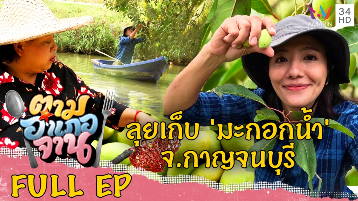 เปรี้ยวหวานน้ำลายแตก! มะกอกแช่อิ่ม-มะกอกทรงเครื่อง