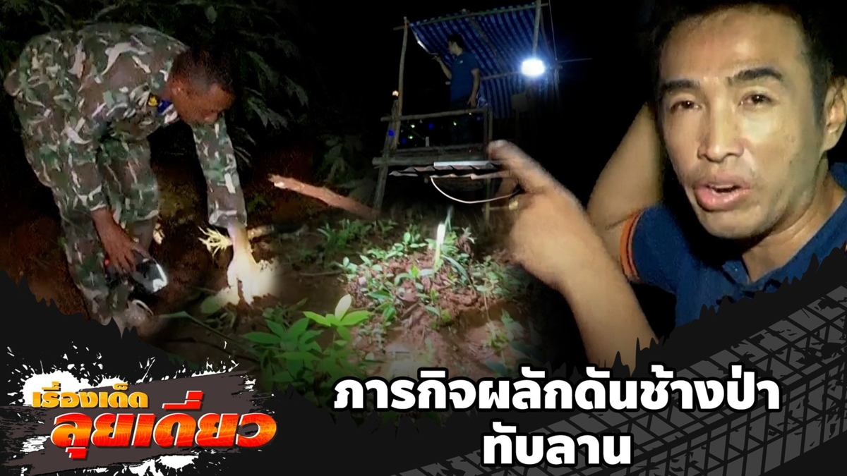 เรื่องเด็ดลุยเดี่ยว | ภารกิจผลักดันช้างป่า ทับลาน จ.นครราชสีมา