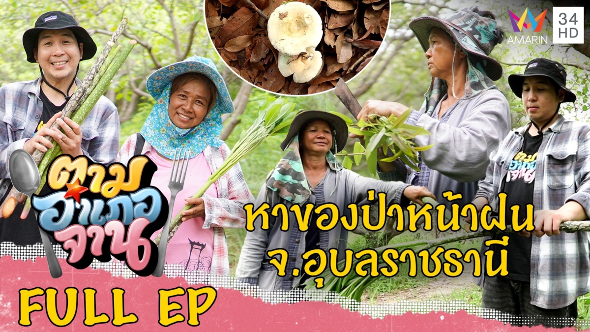 หาของป่าหน้าฝน อ.โพธิ์ไทร จ.อุบลราชธานี