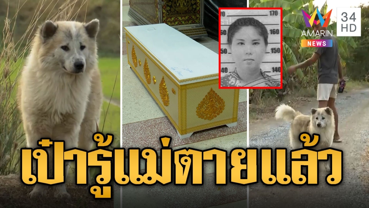 ผัวน้ำฝนเศร้าจูง เจ้าเป๋าหมาแสนรักของเมียเชิญดวงวิญญาณ