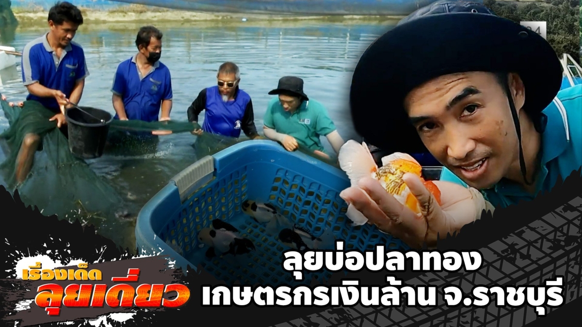 เรื่องเด็ดลุยเดี่ยว | ลุยบ่อปลาทอง เกษตรกรเงินล้าน จ.ราชบุรี