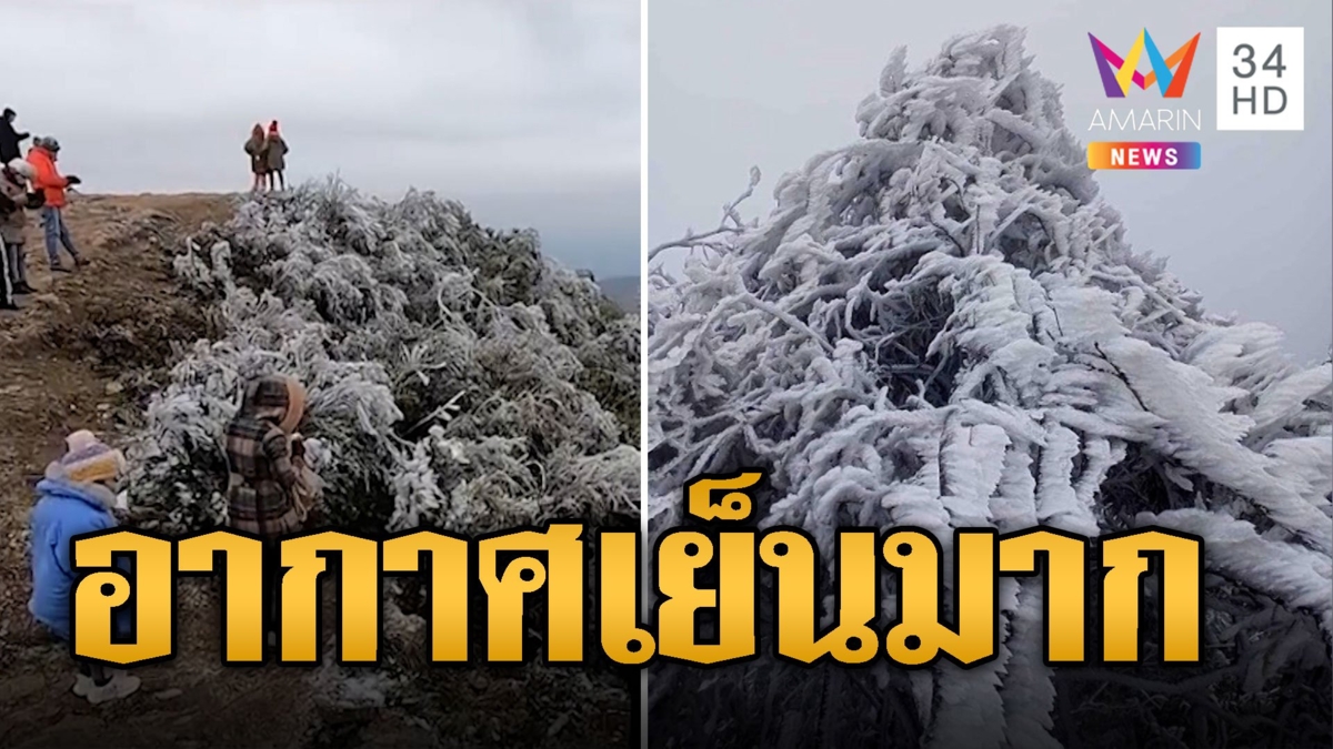 อากาศหนาวติดลบ! เหมยขาบปกคลุมทั้งเขา เวียดนามอากาศเย็นเจี๊ยบ