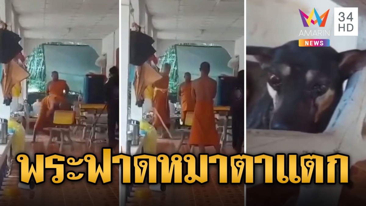 เสียงร้องโหยหวน! พระโหดคว้าไม้หน้าสามฟาดหมาตาแตก