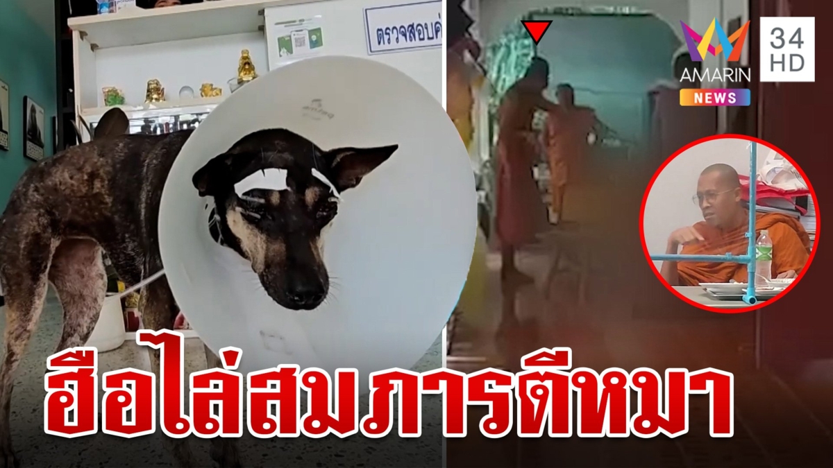 สมภารใจโหดตีหมาจนตาบอดย่องมอบตัว ชาวบ้านไม่ทนจี้ไล่พ้นวัด
