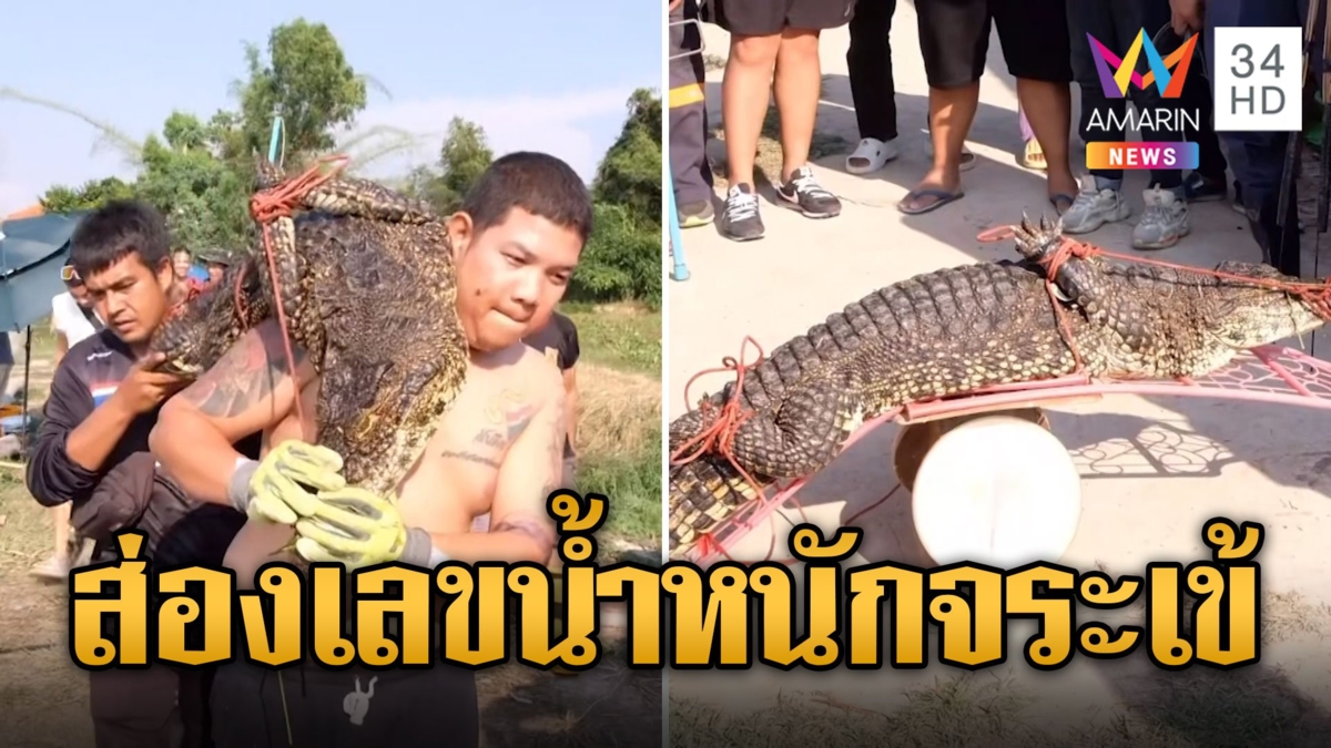 เอาทุกทาง! จระเข้โผล่ลอยคอ ชาวบ้านแห่ส่องน้ำหนักเสี่ยงโชค