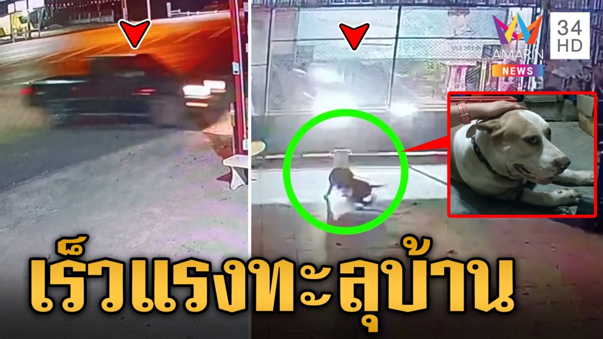 กระบะแซงไม่พ้นเร็วแรงทะลุบ้าน ชนน้องหมากระเด็นบาดเจ็บ