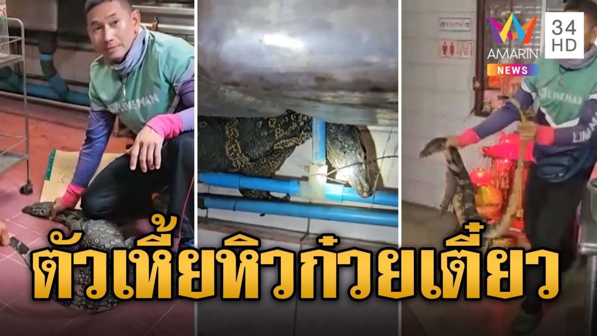 สงสัยจะหิว! ตัวเหี้ยบุกร้านก๋วยเตี๋ยว เชื่อมาให้โชคต้อนรับตรุษจีน