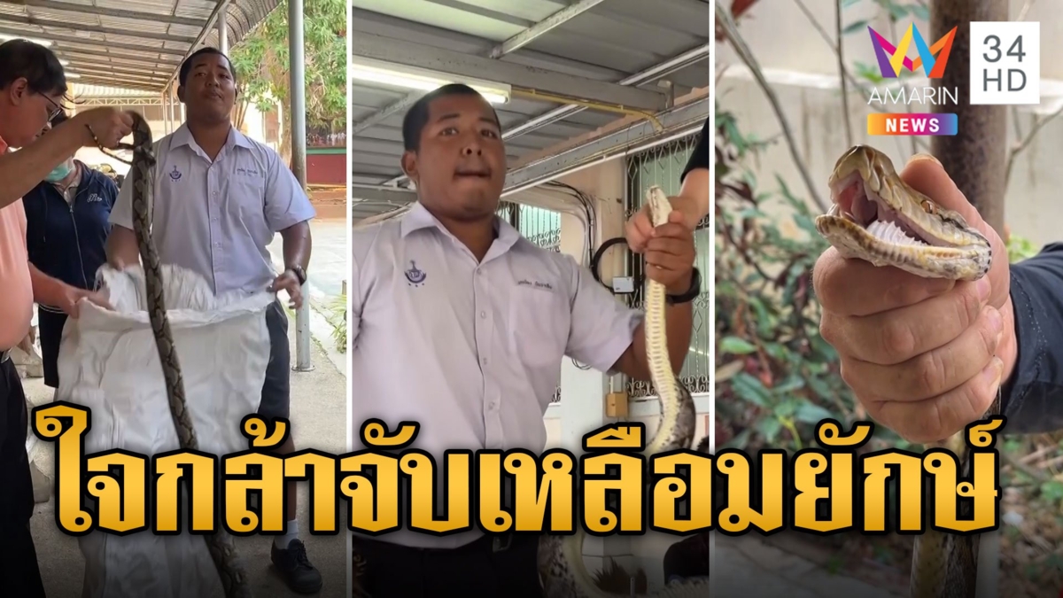 ชื่นชม นร.ใจกล้า จับงูเหลือมยักษ์ 3 เมตรบุกโรงเรียน