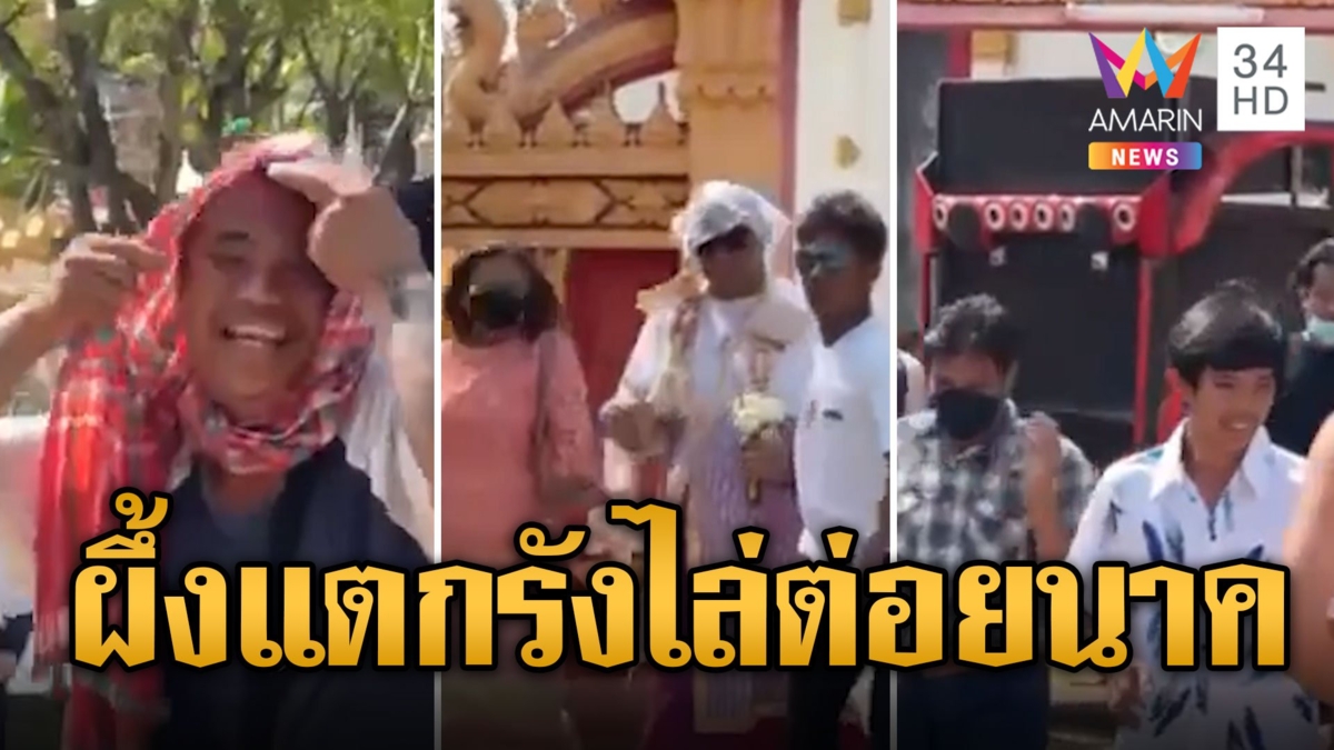 ขบวนแห่นาคกระเจิง! ผึ้งตกใจเสียงดนตรีรังแตก ไล่ต่อยคนร่วมงานบวช