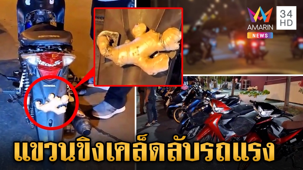 สกัดจับกองทัพ "ว่าที่เทวดาตัวน้อย" ทึ่งติด "ขิง" แทนป้ายทะเบียน เป็นเคล็ดให้รถแรง