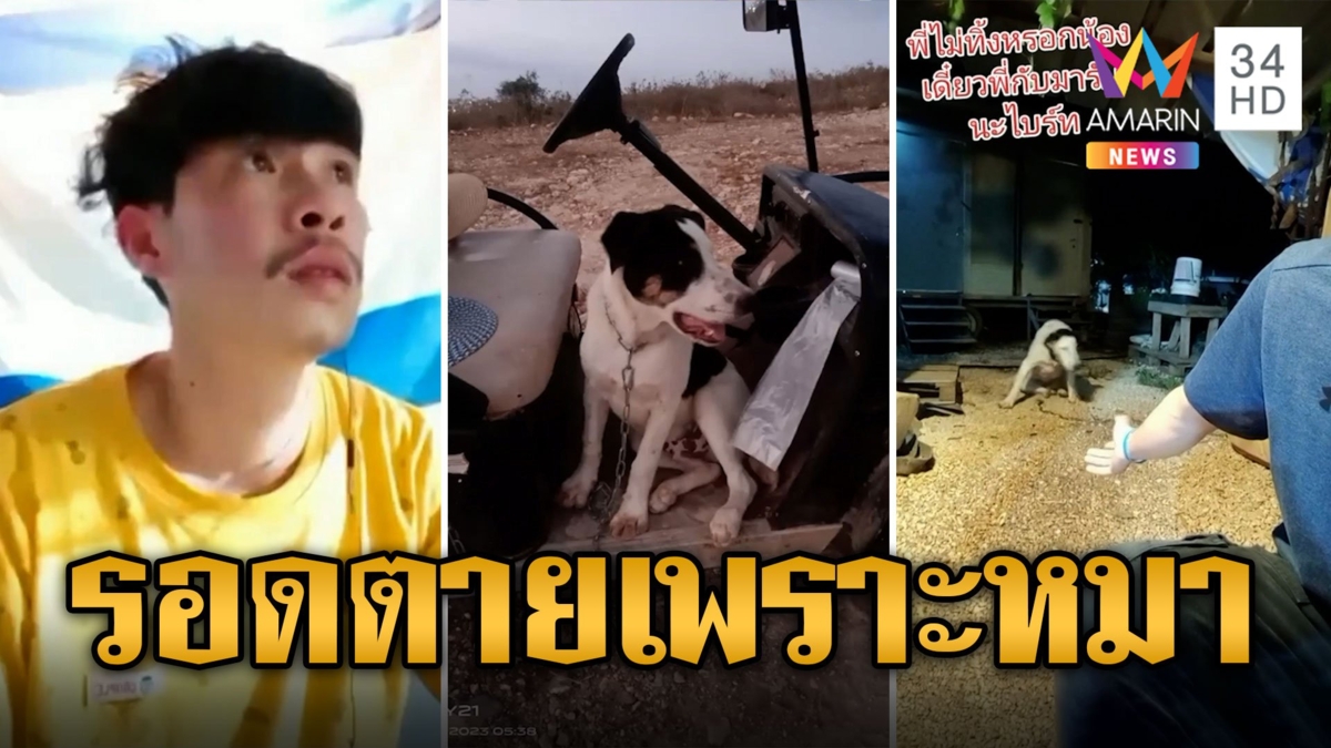 หนุ่มไทยรอดตายเพราะหมาเห่าฮามาสบุกแคมป์ไล่ฆ่าคน สัญญาจะเอากลับไทยด้วย