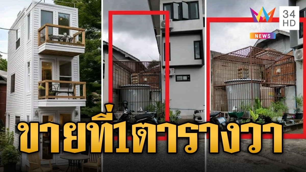 ปังสุด! ประกาศขายที่ดิน 1 ตารางวาในเชียงใหม่ 80,000 บาท ใกล้แลนด์มาร์คสำคัญ