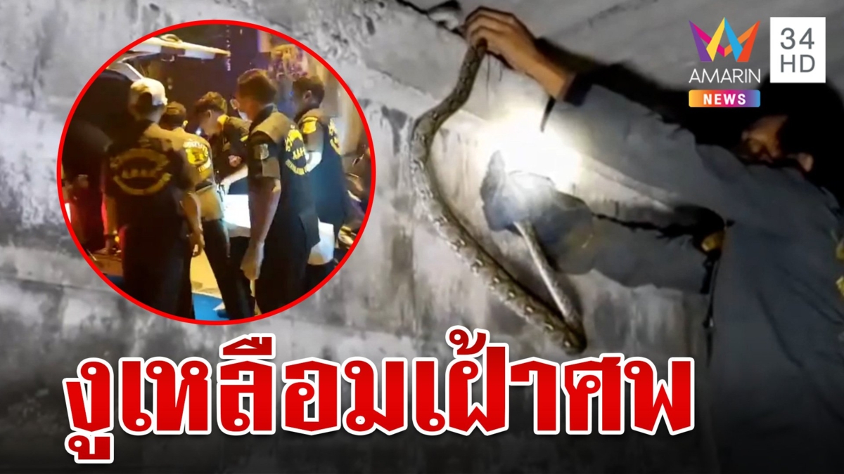 กู้ภัยสะดุ้ง เข้าเก็บศพหนุ่มเมียนมาเจองูเหลือม 2 เมตรเลื้อยเฝ้าศพ เชื่อมีวิญญาณสิง
