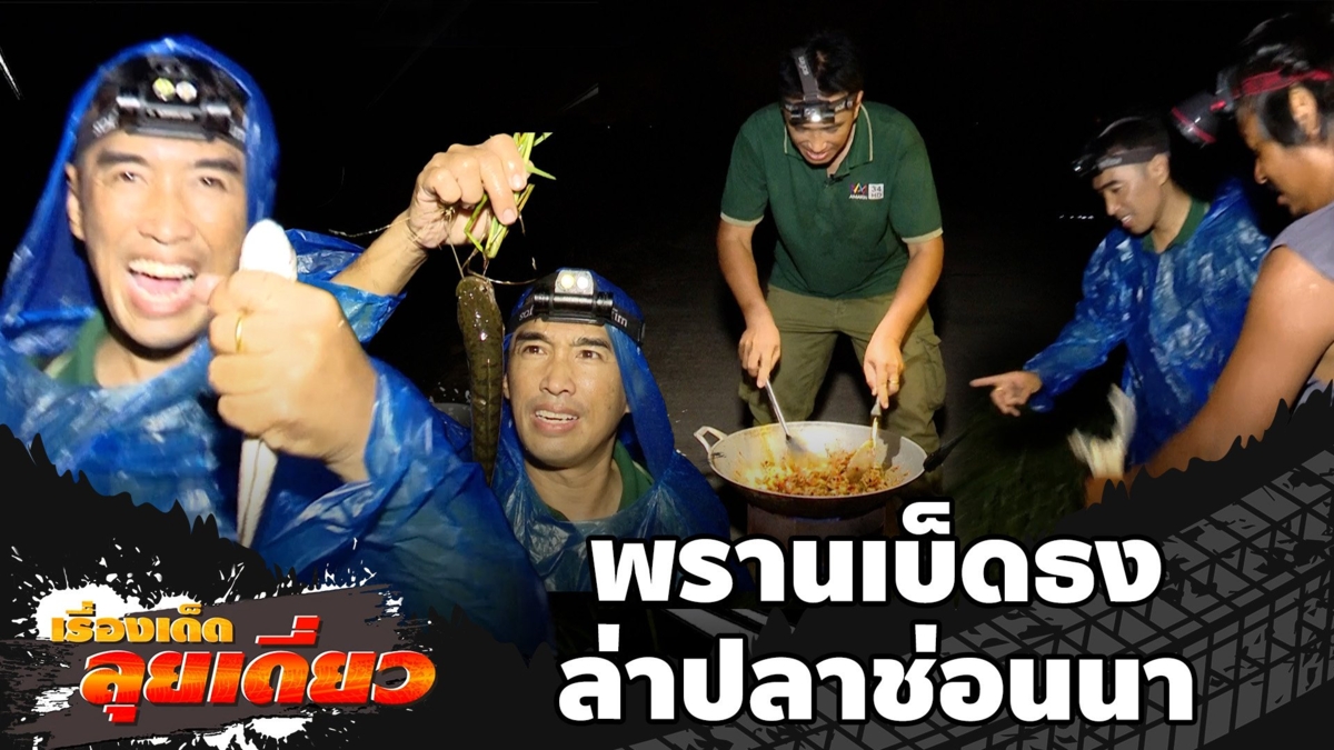 เรื่องเด็ดลุยเดี่ยว | พรานเบ็ดธงล่าปลาช่อนนา จ.พระนครศรีอยุธยา