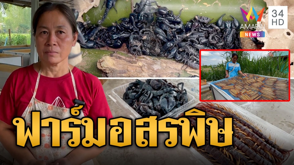 อาชีพแปลก ฟาร์มอสรพิษ โกยรายได้หลักแสน